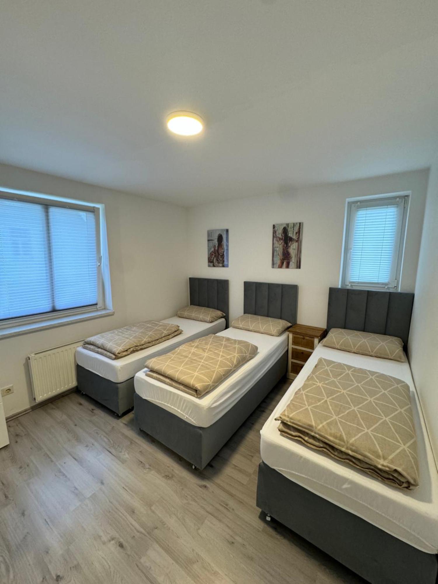 Alex Apartments 3 索林根 外观 照片